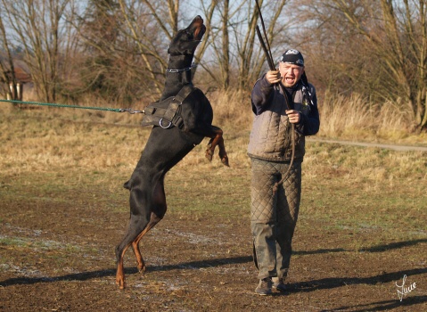 The christmas training 27.12.2006